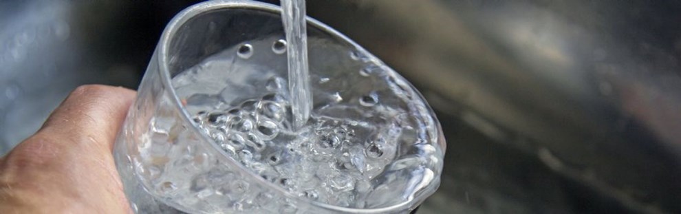 Naturforening antydede et problem: 'Vi er faktisk ret gode til at passe p vandet'