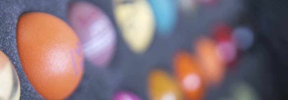 Her er Bornholms hurtigst voksende sport