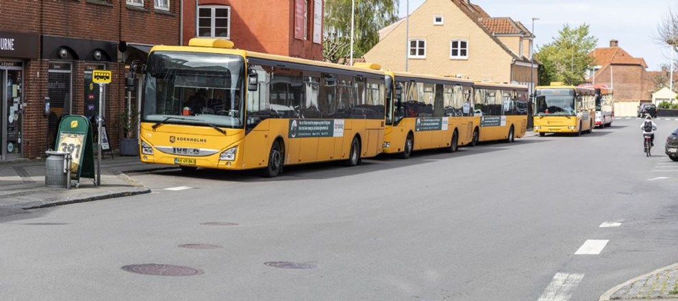 Grønne frøer drømmer om gratis offentlig transport året rundt