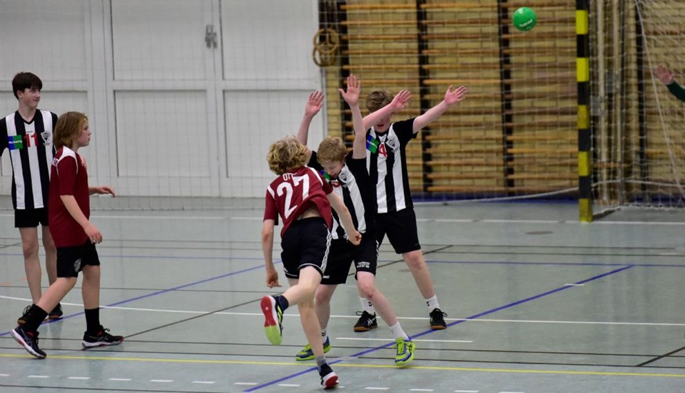 Viking er ved at f styr p fdekden: 'De har udviklet sig helt vildt'