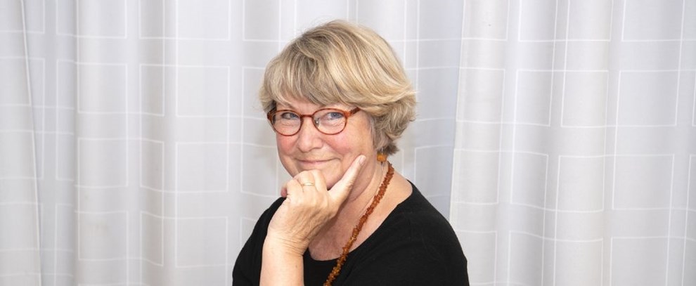 Fik forruden ødelagt i Sverige – måtte opgive at anmelde sagen