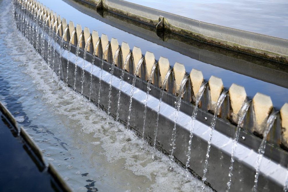 Sidste chance: Forbrugervalg til Beof-bestyrelser slutter i aften