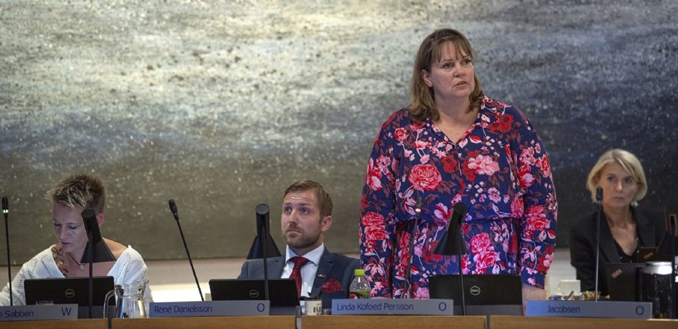 Trst, Riis og Persson kritiserer forslag om nye konomiske ml