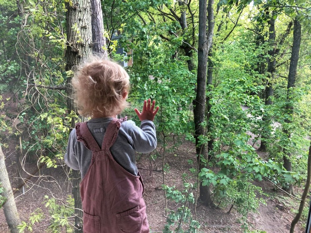 Debat: Trtophytterne handler om at genskabe vores forbindelse til naturen
