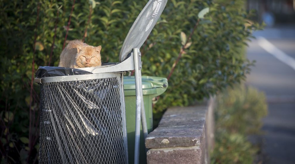 Prisstigning fr borgere til at vlge tmning hver 14. dag, men den mulighed forsvinder snart