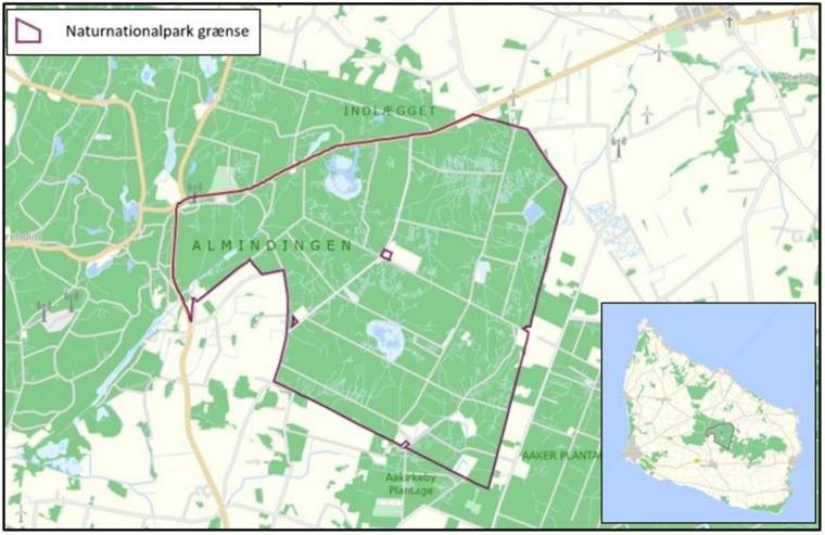 Ny plan: 1.200 hektar kan blive nationalpark  bisonskoven skal indg