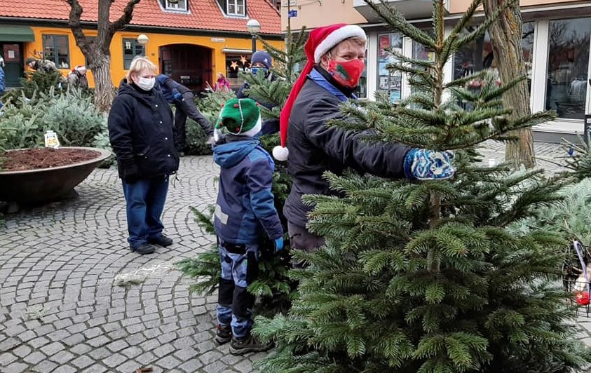 De bl spejdere slger juletrer