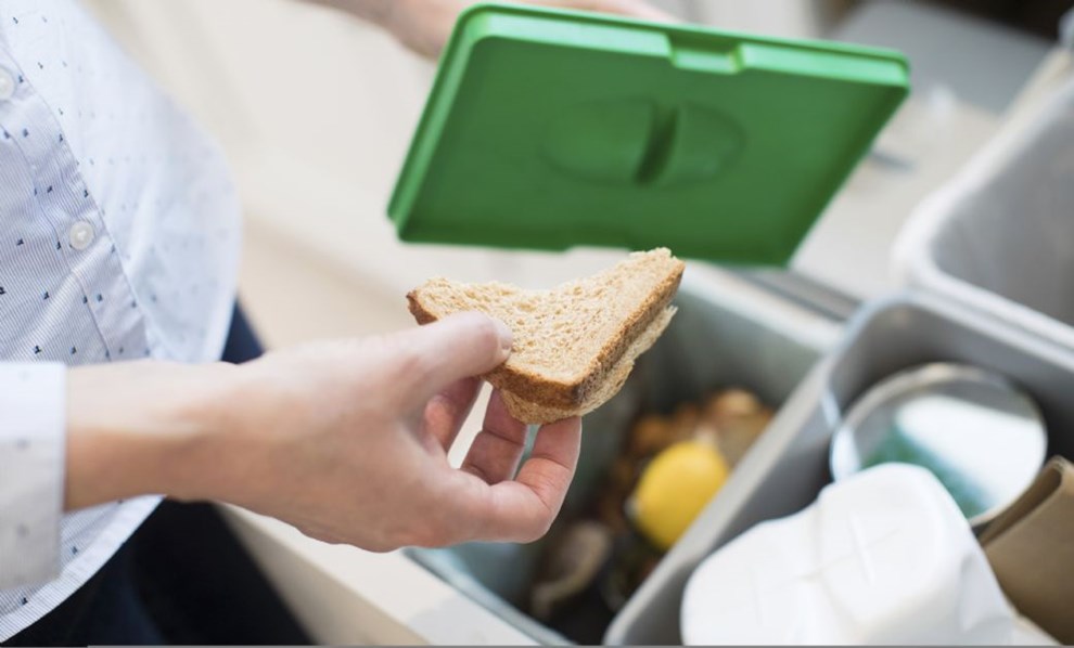 Debat: Det er nu, vi m tage ansvar og betale tilbage til natur, milj og klima