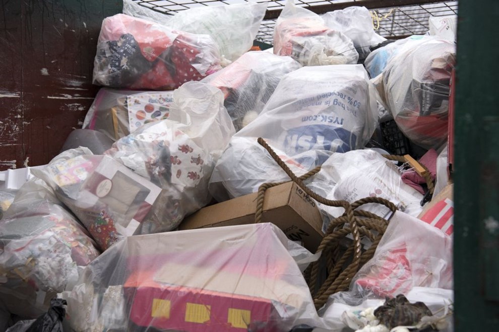 S�ren Pind: Lad os s�tte egentlige milj�hensyn foran dyre uforklarlige systemer