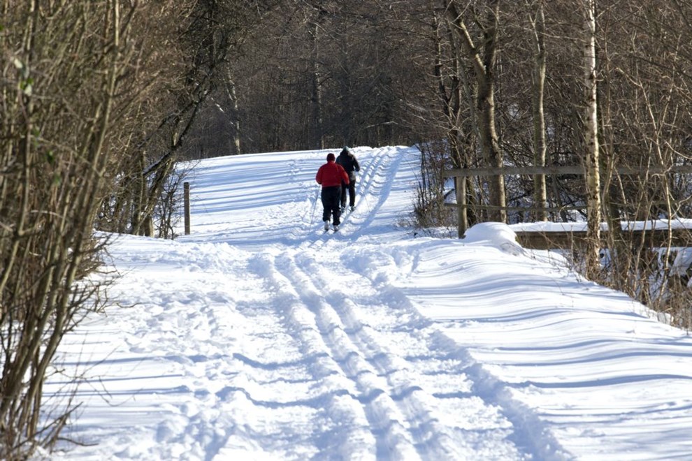 En populr vare: 'Vi har tre gange s mange gster som sidste r'