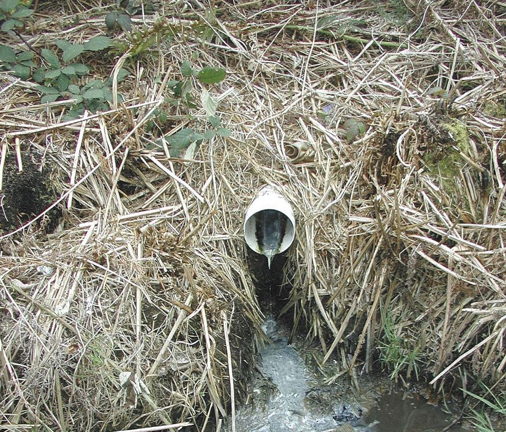 Andelsmejeriet sigtet for overtrdelse af Miljbeskyttelsesloven