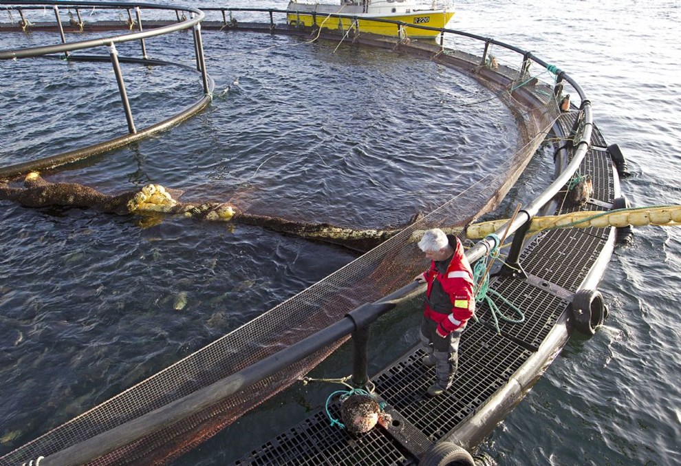 Debat: Har vi da r�d til at sige ja?