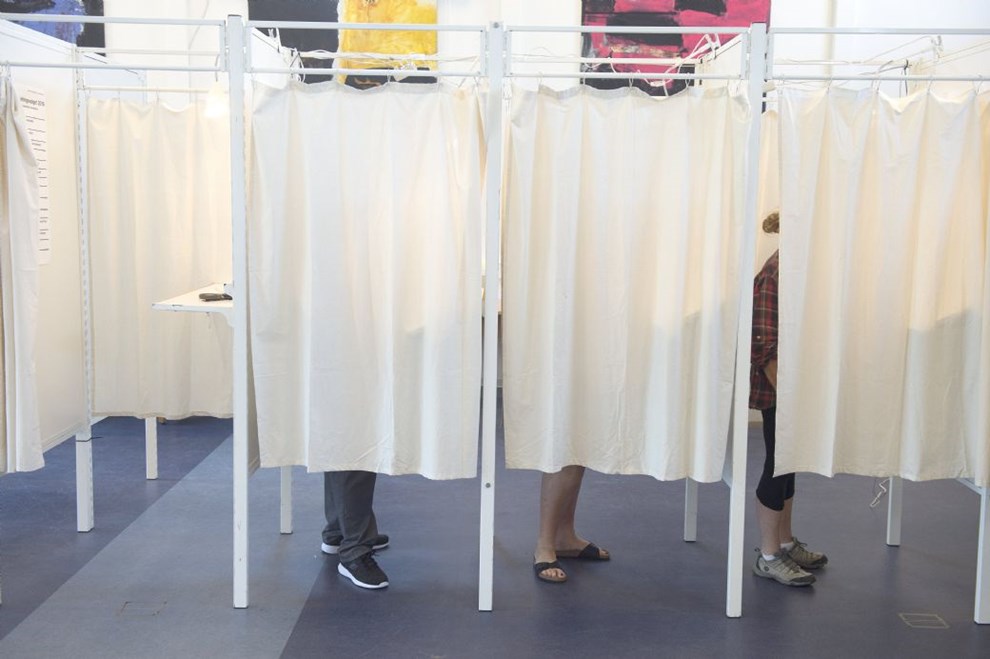 Veganerpartiet bliver del af nyt rdt/grnt valgforbund