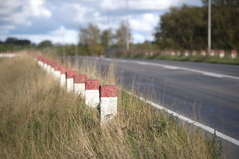 DF-jubel over beskyttelse af r�dh�tter: Vi er S� glade i dag