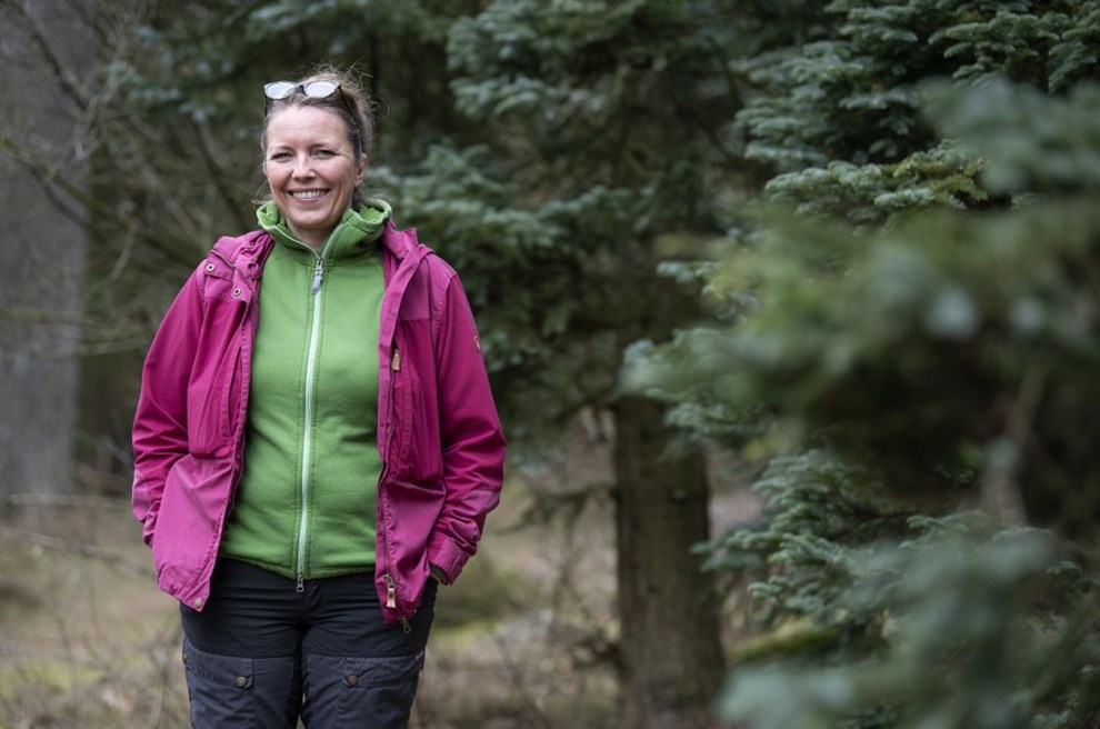 Krligheden brer ikke nag