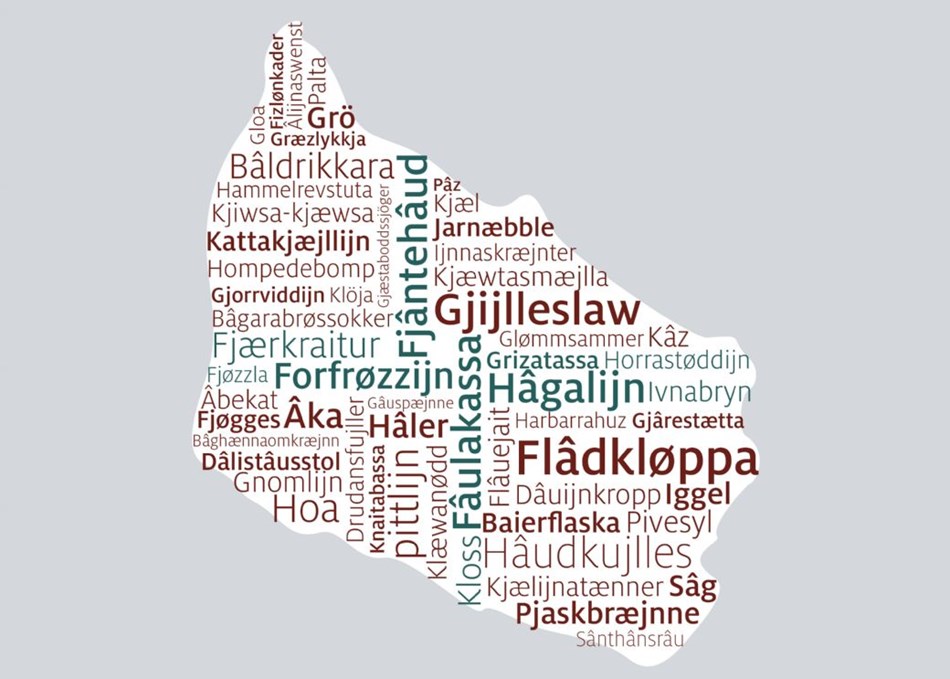Leder: Bornholmsk
