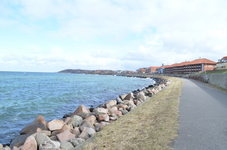 R�dgiver om N�rrek�s: 'En super sp�ndende opgave'