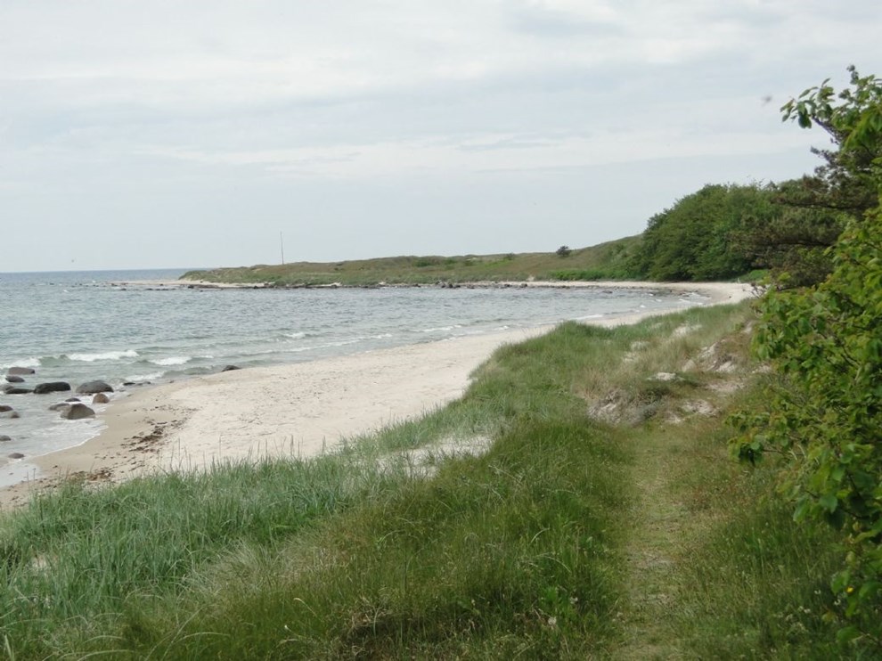 Kom med p vandring langs kysten fra Slusegrd til Boderne