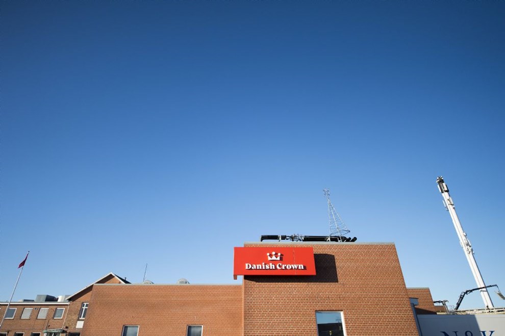 Danish Crown frygter, at strandpark vil vanskeliggre udvidelser af slagteriet