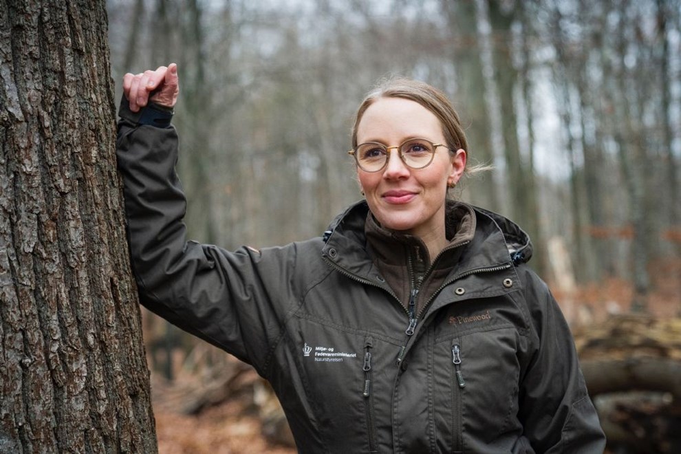 Leder: Ord ud i luften