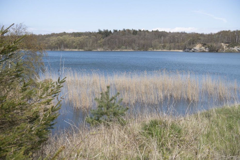 Denne s kunne vre blevet til en losseplads