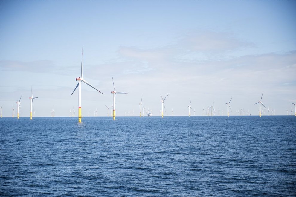 Havvind skaber nye job  godt lokalkendskab er vigtigt