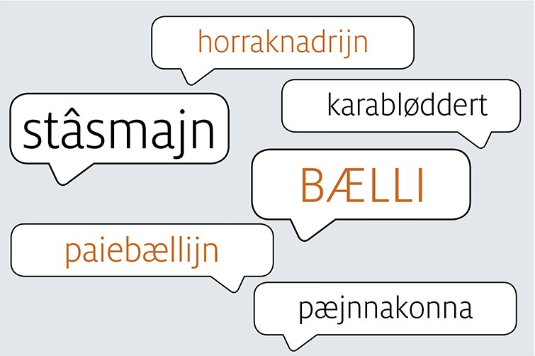 Hvad vi kalder hinanden: Gnjllebllijn og stsmajn