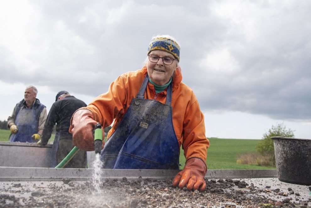 79-rig pioner p Sorte Muld: 'Der er mindst 1.000 gubber i jorden endnu'