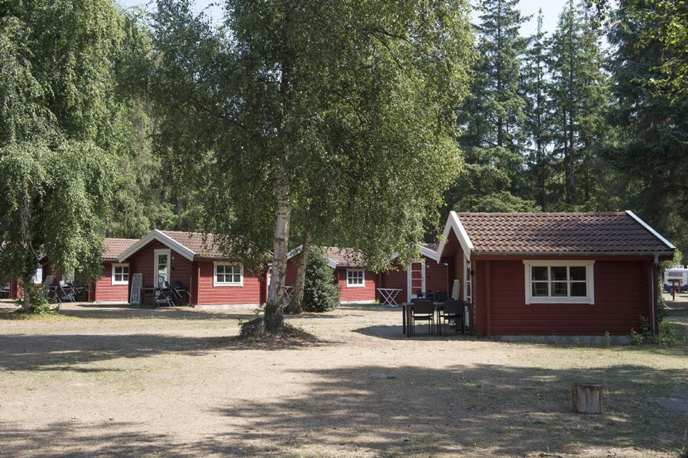 Festival samarbejder med vandrerhjem om overnatning