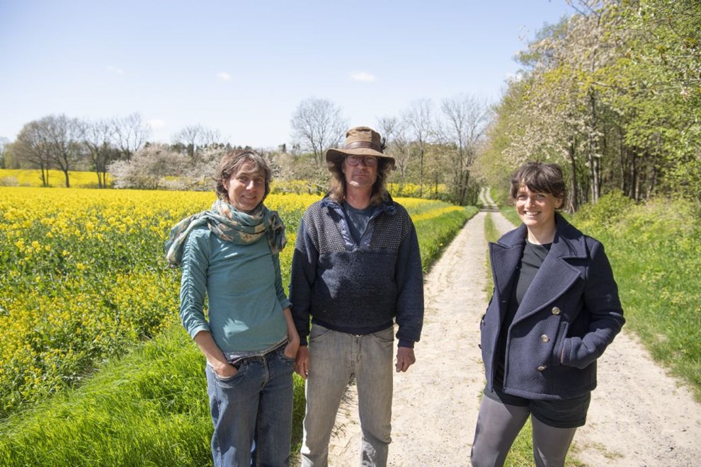 Naboer vil ikke have solcelleanlg i baghaven: Her er deres lsning