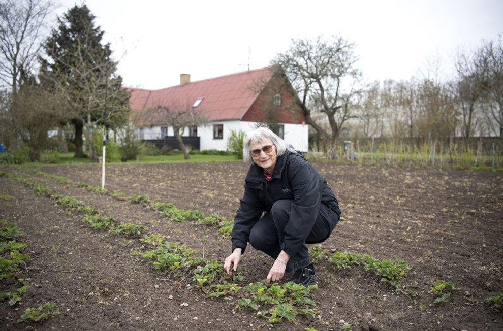 Vestermaries lokale ildsjæle jagter skilte, boliger, stier og hundelufterparker