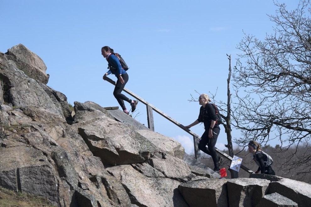 500 deltog i Hammer Trail: Se billederne her