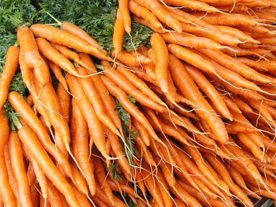 M�l om lokale f�devarer koster kommunen to millioner