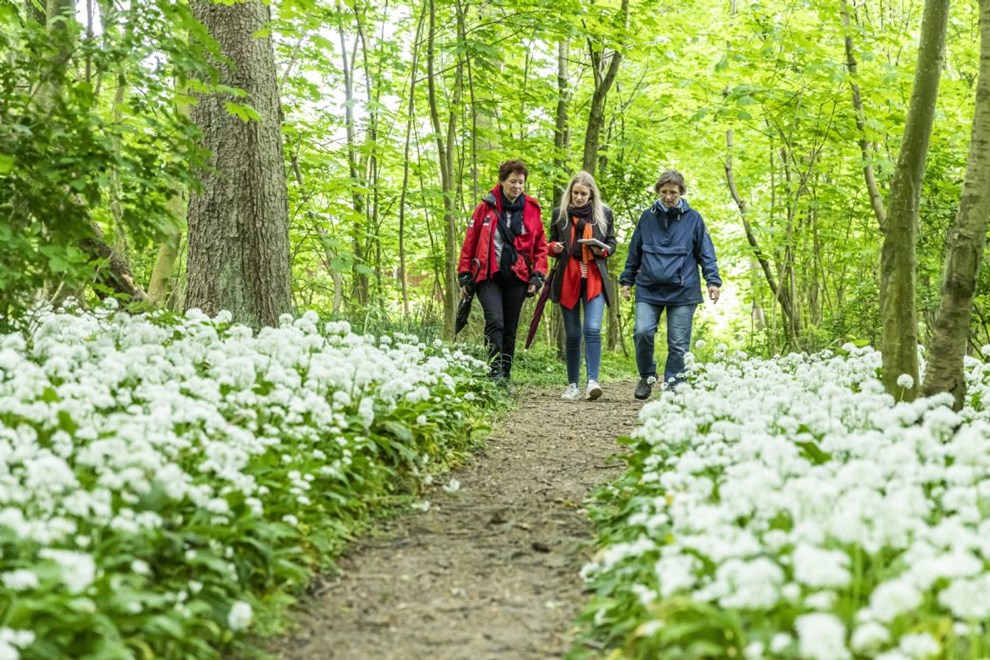 Forkvinder ser naturen som tr�kplaster for de fastboende