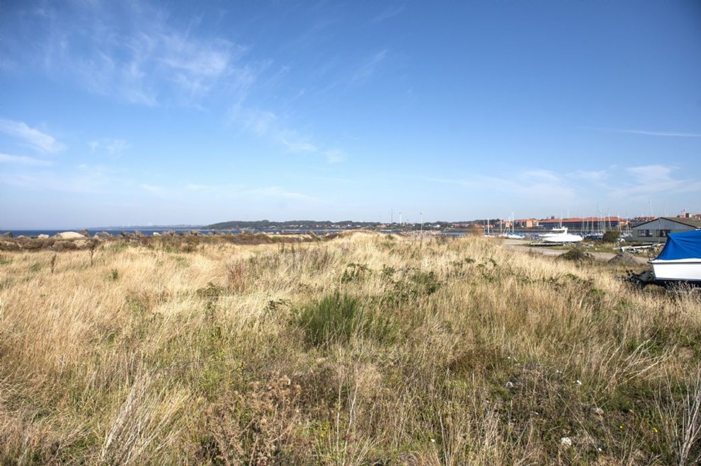 Svmmehal sger ideer til vandkulturhus