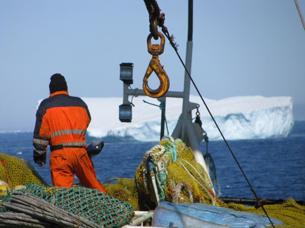 Pandemien p�virker Ocean Prawns: Overskud blev 29 millioner kroner mindre, men det er stadig solidt