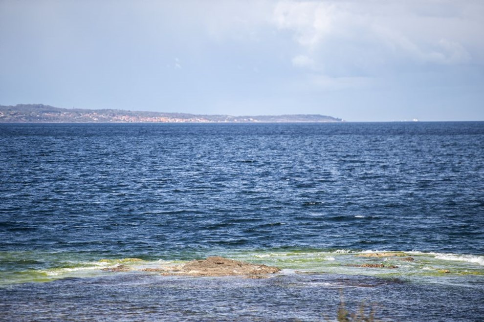 Selskabet bag projektet: Lynetteholm vil pvirke gennemstrmningen til stersen