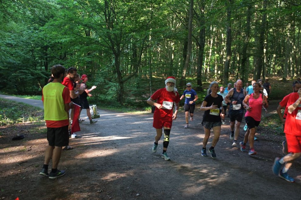 En løbetur i skoven – se fotos fra etapen En løbetur i skoven – se fotos fra etapen