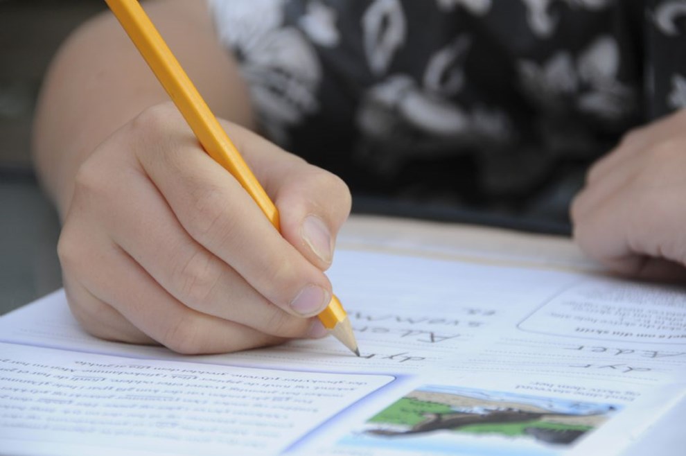 Der arbejdes p at f flere ind p lreruddannelsen: 'Skolerne skriger p arbejdskraft'