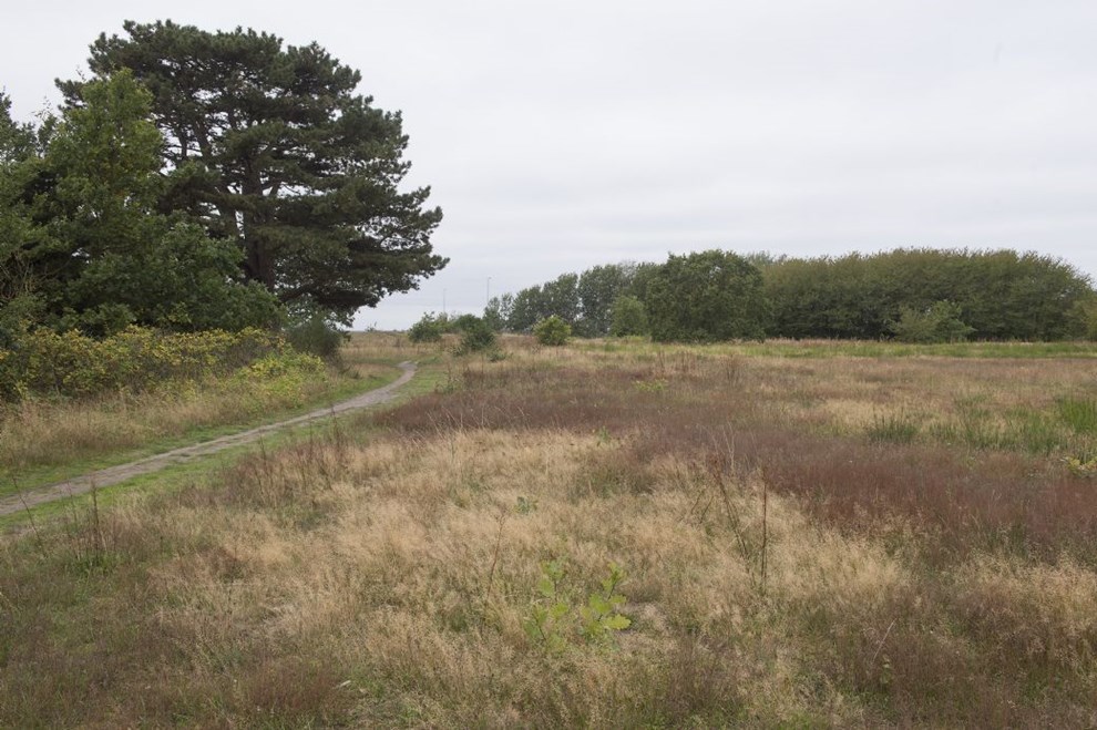 Fredningsn�vnet har givet dispensation: Nyt kabel er led i en stor satsning