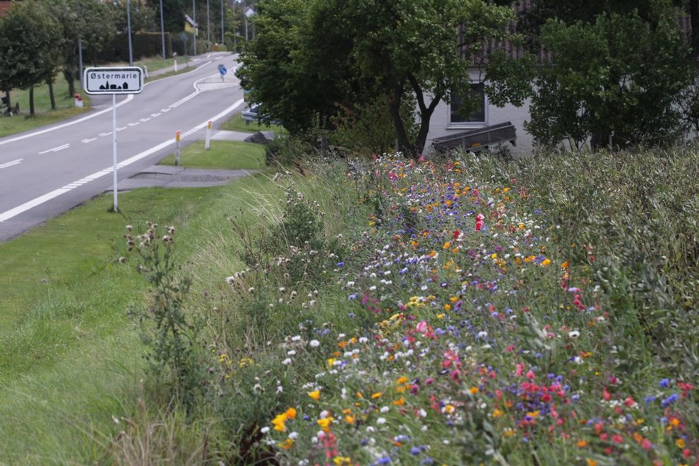 Sren Pind: 'Kaster landet, jorden, stedet ikke noget af sig, kommer der intet liv'