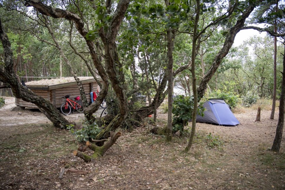 Naturstyrelsen anerkender, at der er et problem med svineri: 'Nye folk i naturen kender ikke spillereglerne'