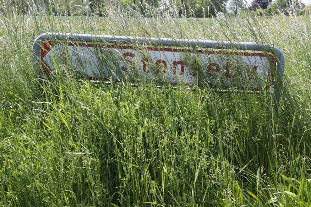 Forbud mod privat klipning af kommunens vejkanter skal genovervejes