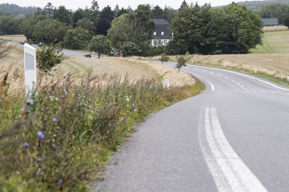 Leder: Gr�nt er godt