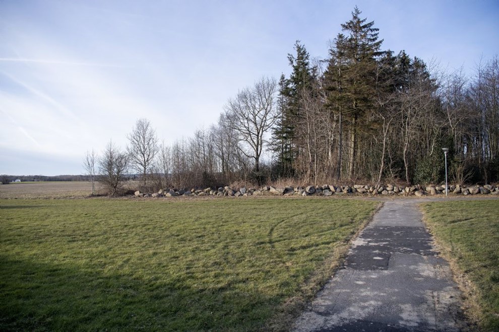 R�nne Havn planter tr�er midt p� �en � og st�tter to gode form�l