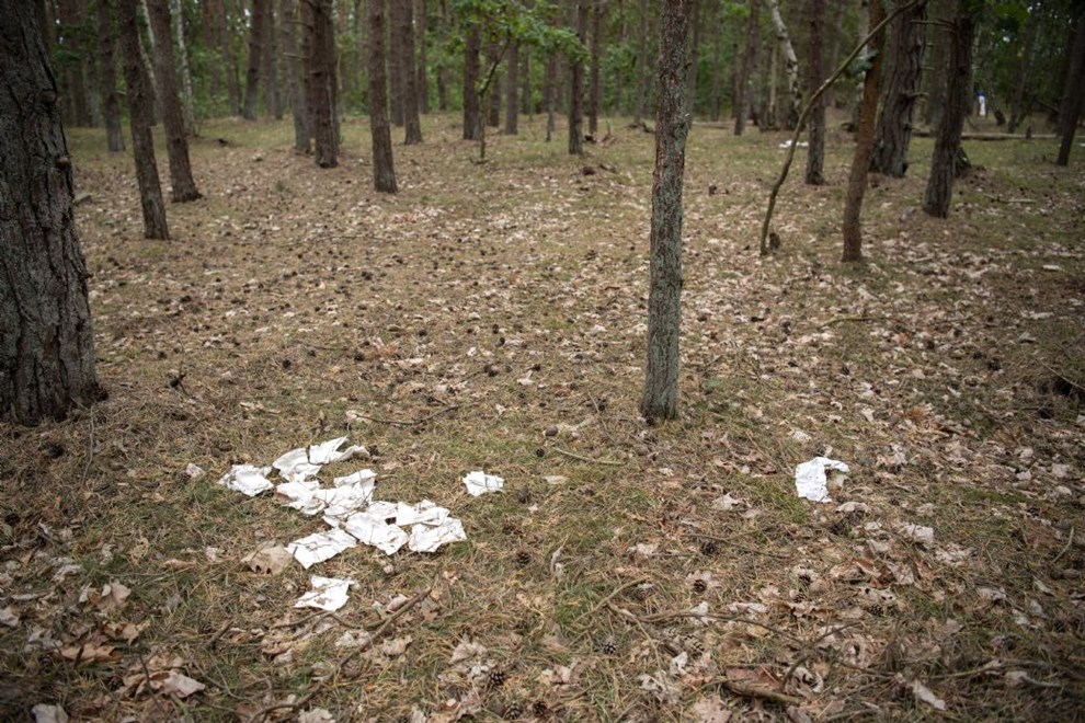 Leder: P spanden i skoven