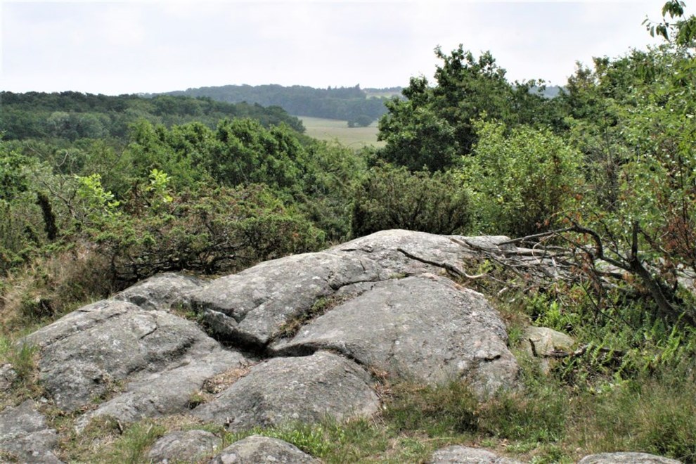 Over stok og sten gennem Paradisbakkerne