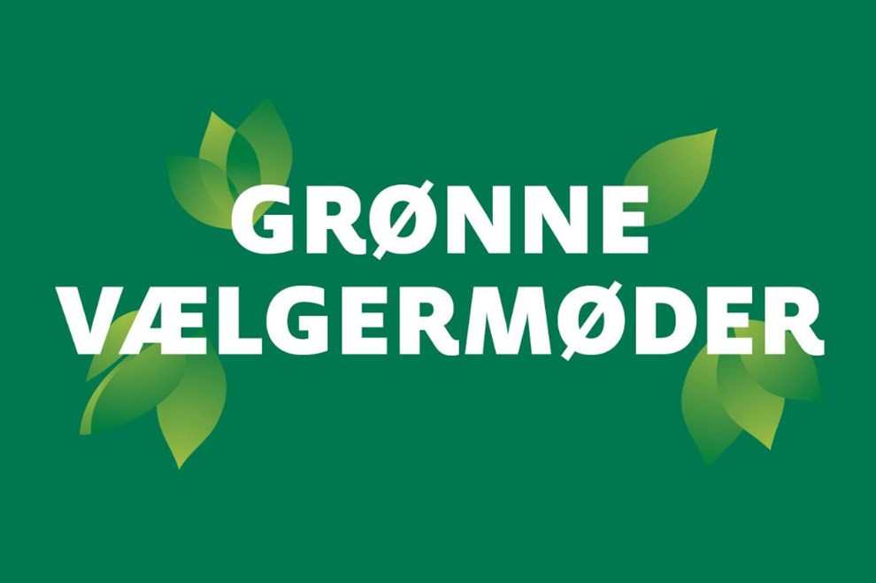 Nye kandidater fra syv partier�holder gr�nne v�lgerm�der sammen