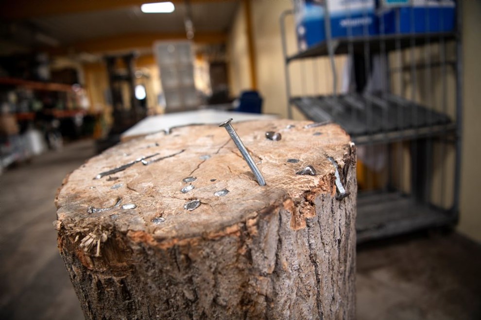 Wonder vil skabe lager for nordlandets events