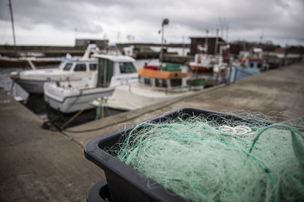 Stop for laksefiskeri? Eksperter siger ja � Peter Juel vil give fangsten helt fri